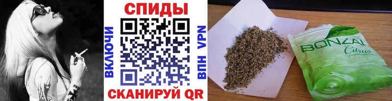 БУТИРАТ BDO 33%  Новосиль 