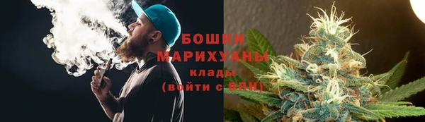 ГАЛЛЮЦИНОГЕННЫЕ ГРИБЫ Надым