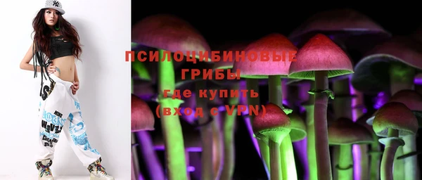 крисы Нефтекумск
