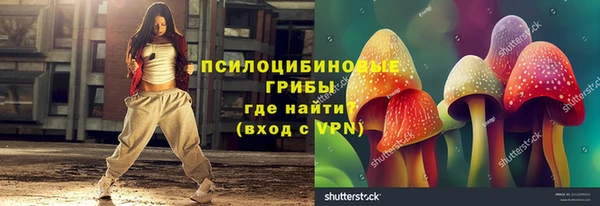ГАЛЛЮЦИНОГЕННЫЕ ГРИБЫ Надым